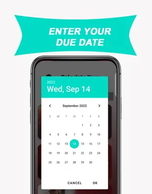 Due Date Calculator Pregnancy android App screenshot 2